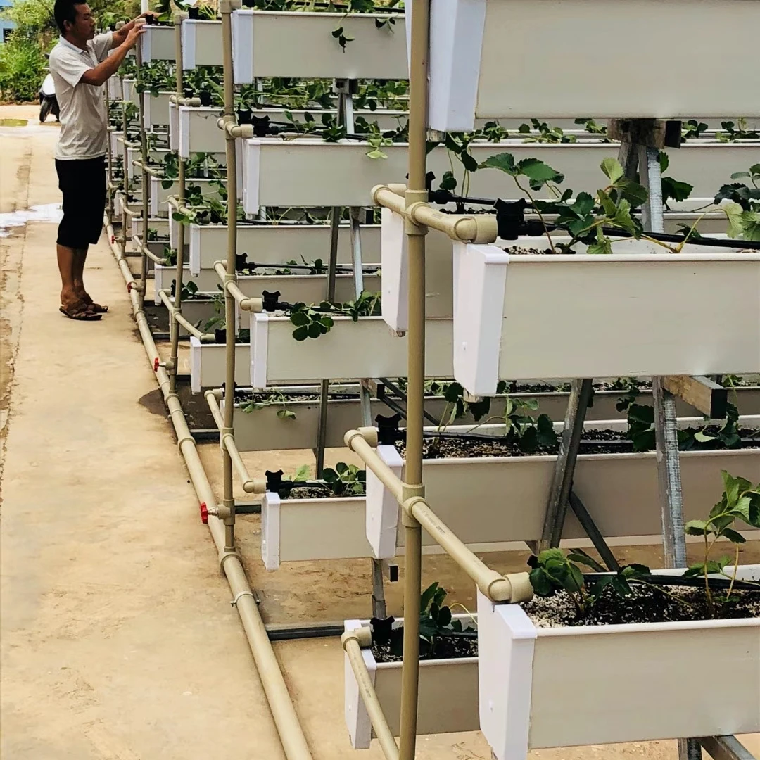 PVC channel sales of strawberry planting greenhouse hydroponics system