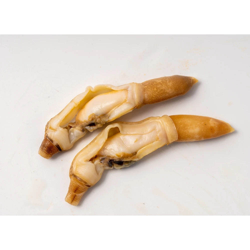 Perfect Quality Enjoyable Eating Delicious Seafood Pre-Made Marinated Razor Clam Meat