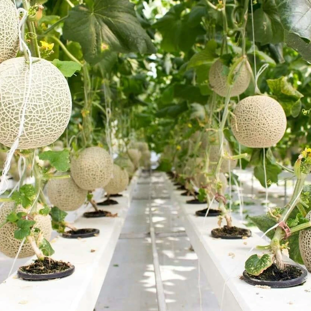 White and Black Net Mesh Pots Hydroponic Plastic Plant Pot