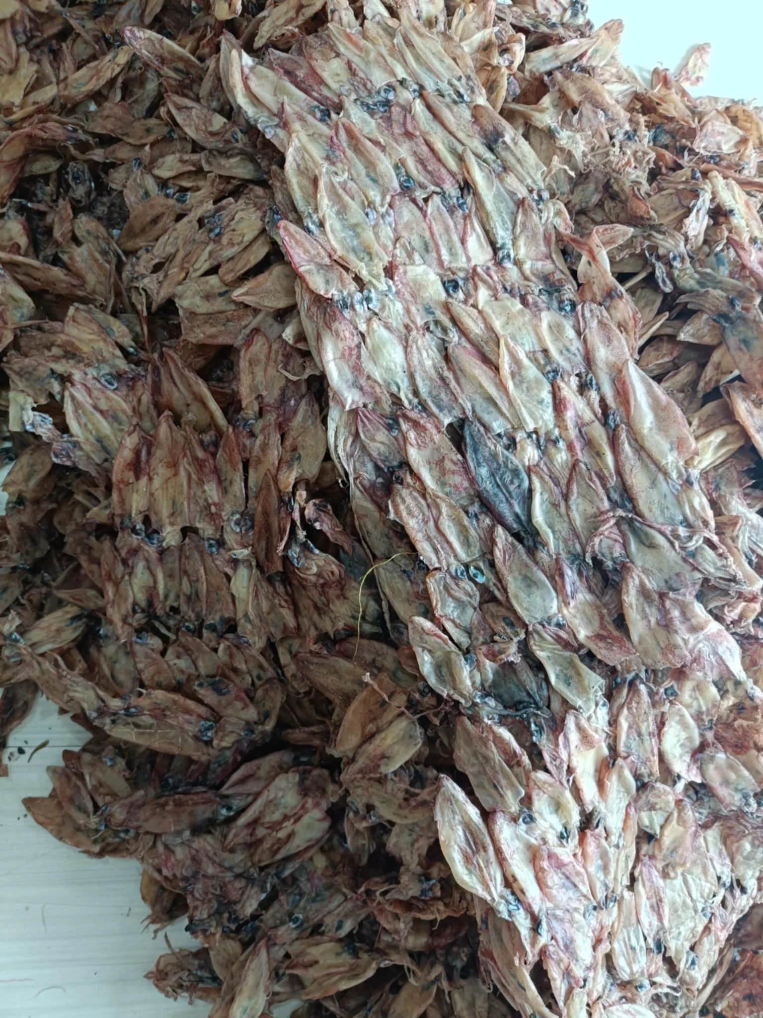 Raw unsalt squid material drying seafood exporting in bulk no additive  Premium Quality Origin In Vietnam//+84 966 274 584