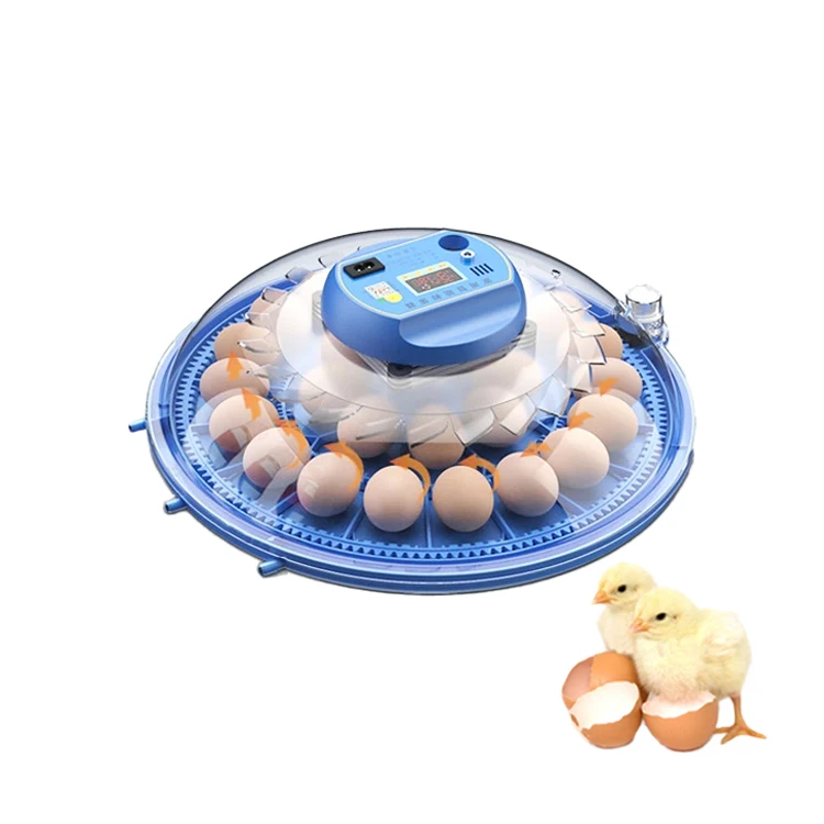 52-Egg Dual Power Automatic Incubator High Hatching Rate with Automatic Hatching Machine 220V New Condition for Chicken Farming