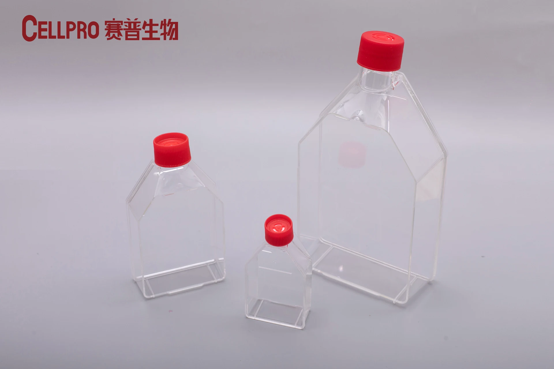 Chinese Factory Plastic Lab Use Surface Adherent Tissue Cell Culture Flask