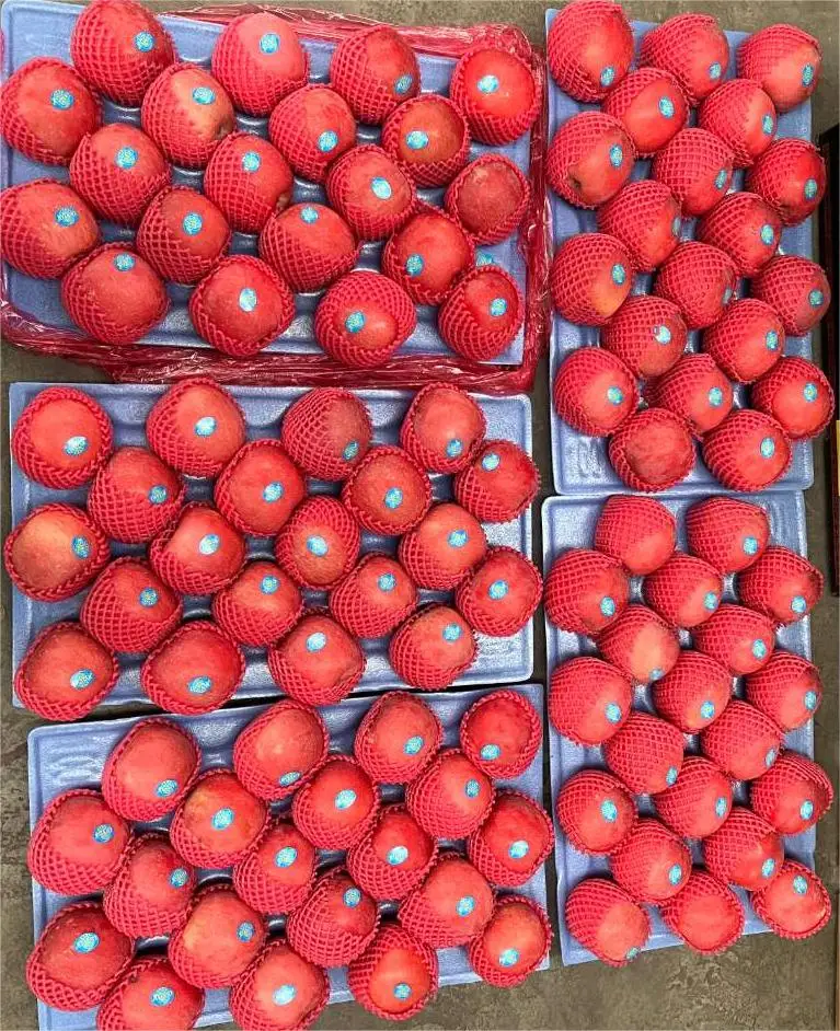 Fuji APPLE