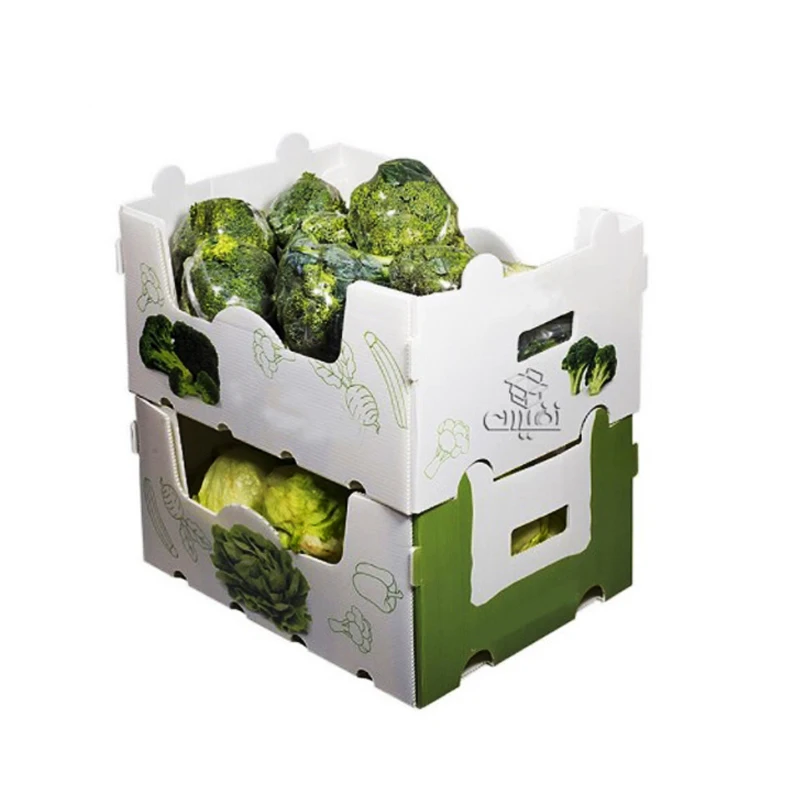 Manufactory 2023 Custom Hot Selling Wholesale Polypropylene To Go Pp Hollow Corrugated Fresh Packaging Ice Seafood Box