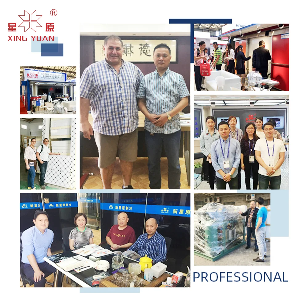 China Factory Supplied Top Quality Blast freezer cold room refrigerator freezer walk-in freezer room