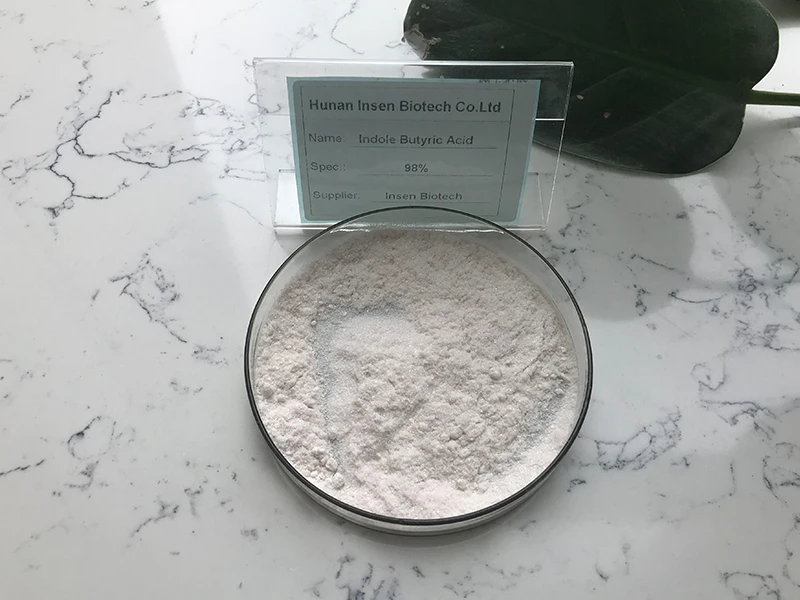 
Factory Supply Best Price Indole Butyric Acid Powder 