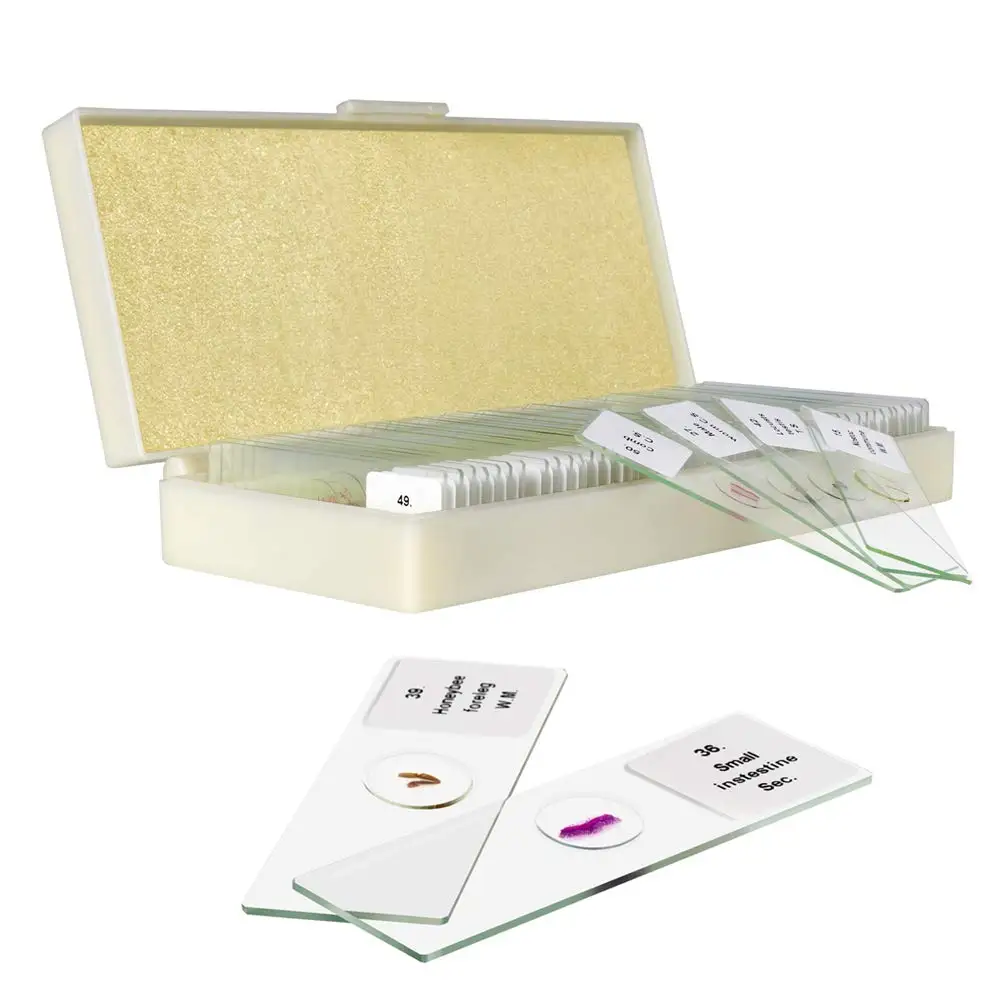 100 Kinds microscope prepared slides human tissue slides human histology slides