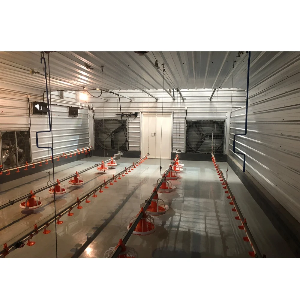 
 Сборная стальная конструкция, строительное оборудование для птицефабрик, куриных яиц  