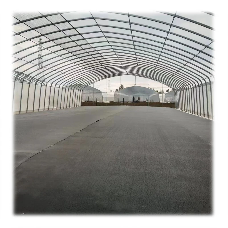 Маленькая 60x60x160 см домашняя коробка для выращивания в помещении светонепроницаемая SBS молния Высокая Светоотражающая белая пленка Mylar на заказ растительная палатка
