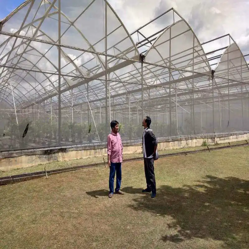 Agricultural Sawtooth Greenhouse with vertical hydroponic