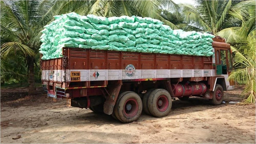
Semi Husked Coconuts Pollachi India 