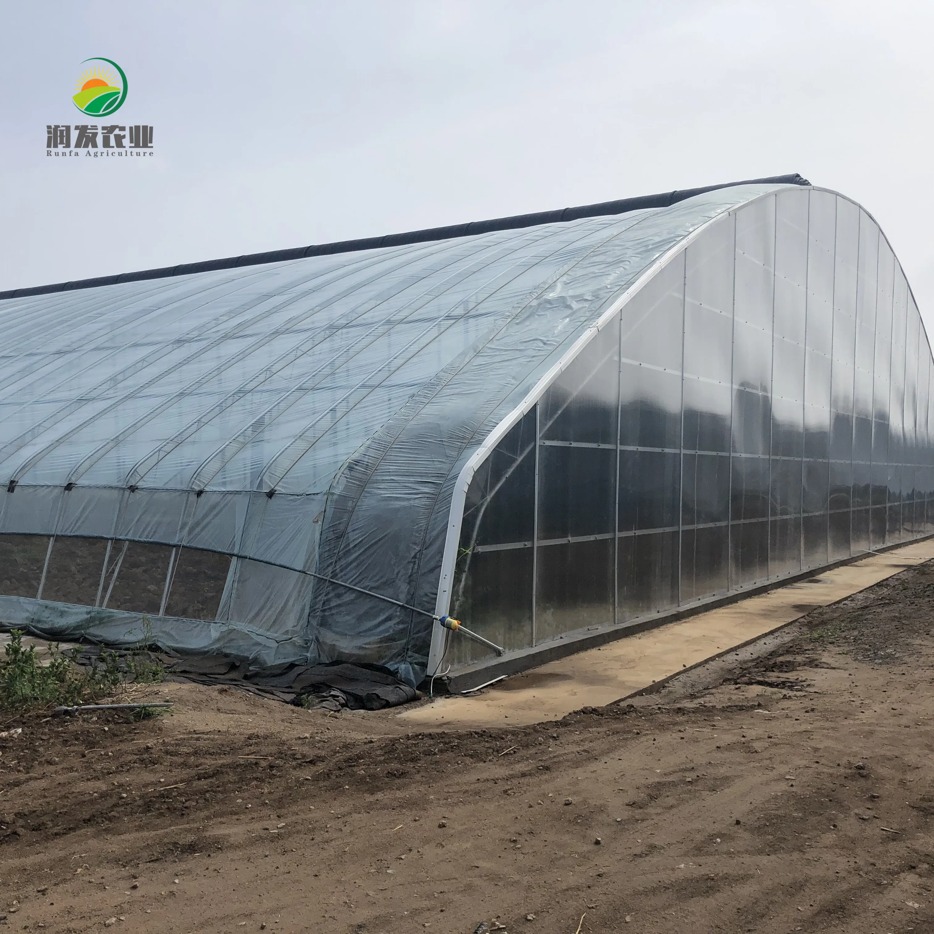 Commercial Greenhouse Hydroponic System For Container Cultivation