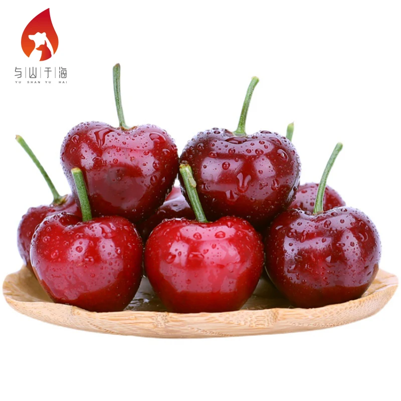 Sweet And Juicy Fresh Cherries Fruits Fresh Dark Red Cherries For Sale
