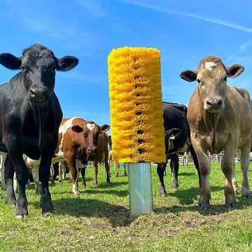 Tianzhu Factory Mechanical Massage Cow Brush For Farm To Improve The Health Of Cattle