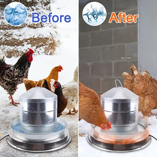 Poultry Waterer Heated Base Chicken Water Heater in Winter For Chicken Coop