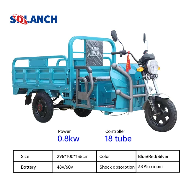 China Electric Adult Tricycle Electric Three Wheeler Cargo 1000w Eec Electric Trike Scooter Cargo Bike