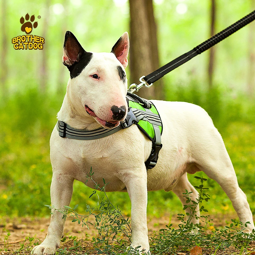 Nylon Reflective pet harness   Outdoor Hunting Tactical dog Harness  Custom dog protective harness Brother Cat Dog
