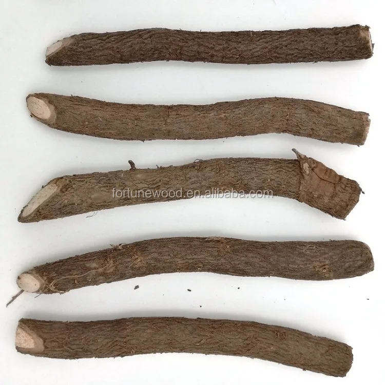 Поставщик корней павловнии Heze