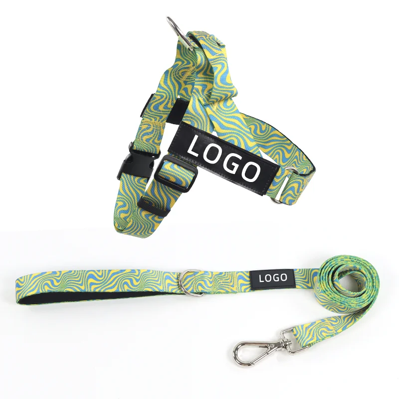 Heavy Duty Custom Printed Color and Pattern Training Dog Harness and Leash Set with Strong Plastic Buckle and Comfortable Handle