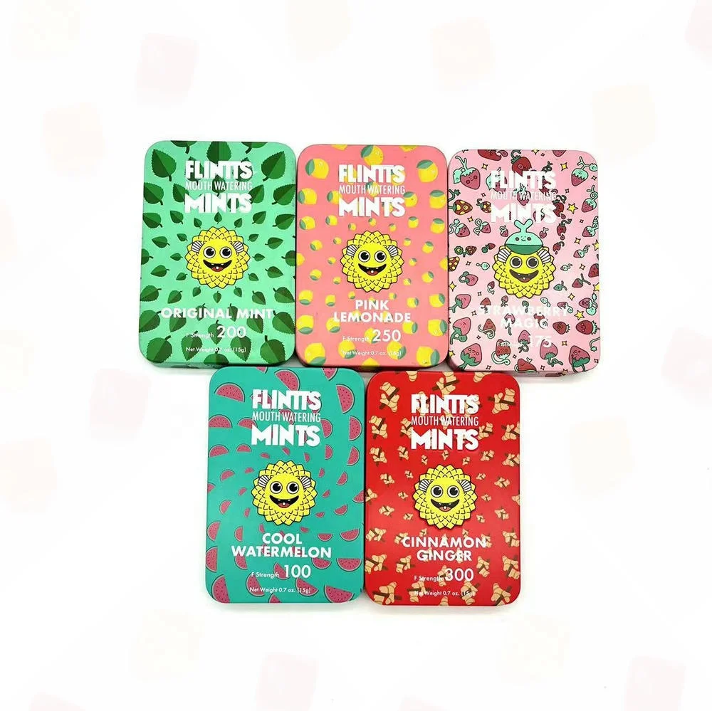 New Hot Sideward Slide Mints Tin Boxs Packaging with Metal Holder and Custom Printing