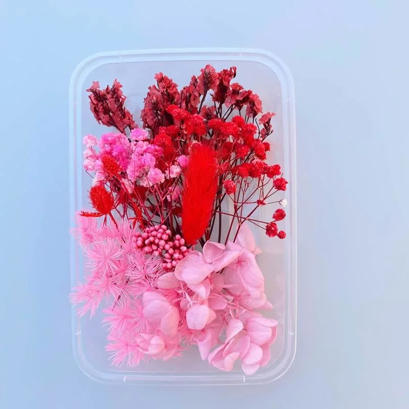 Handmade Materials Handmade Flower DIY Box Dried Flowers Mixed Plants