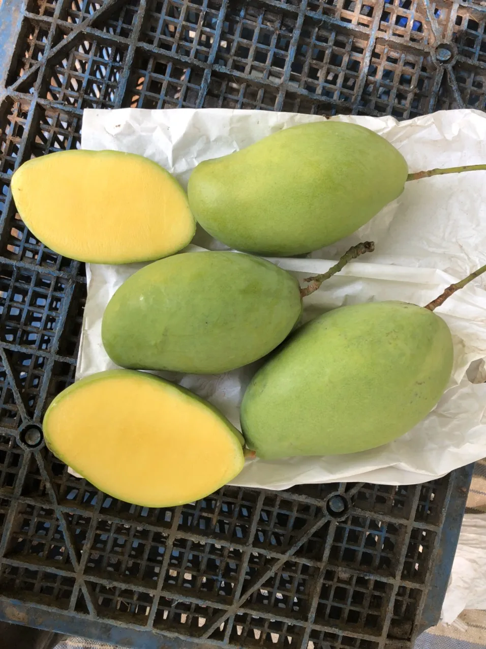 
Best Seller With Wholesale Good Prices High Quality Keo Mango Specializes From Vietnam Summer 2021 