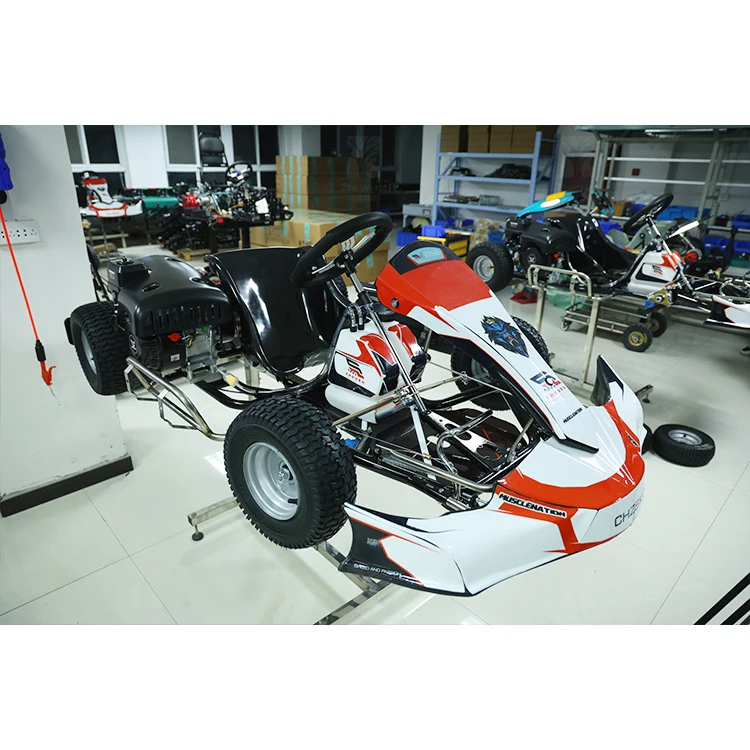 Customized Color Hot Racing Go Karts for Adults Kids 220cc Engine Fun Amusement Park Shopping Mall Center
