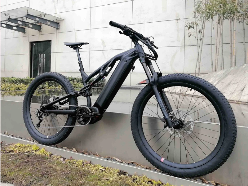 4:3 ebike.jpg