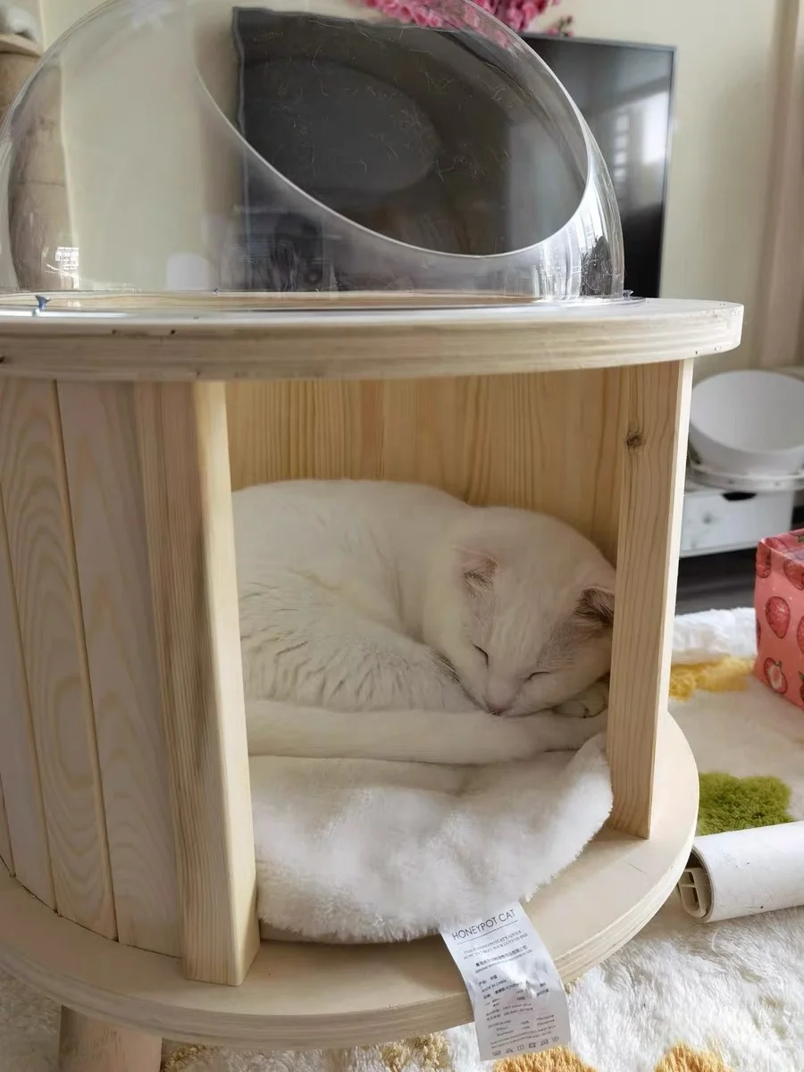 2022 Luxury pet furniture floor capsule solid wood wool jungle gym cat tree one space bowl wooden cat house cat bed