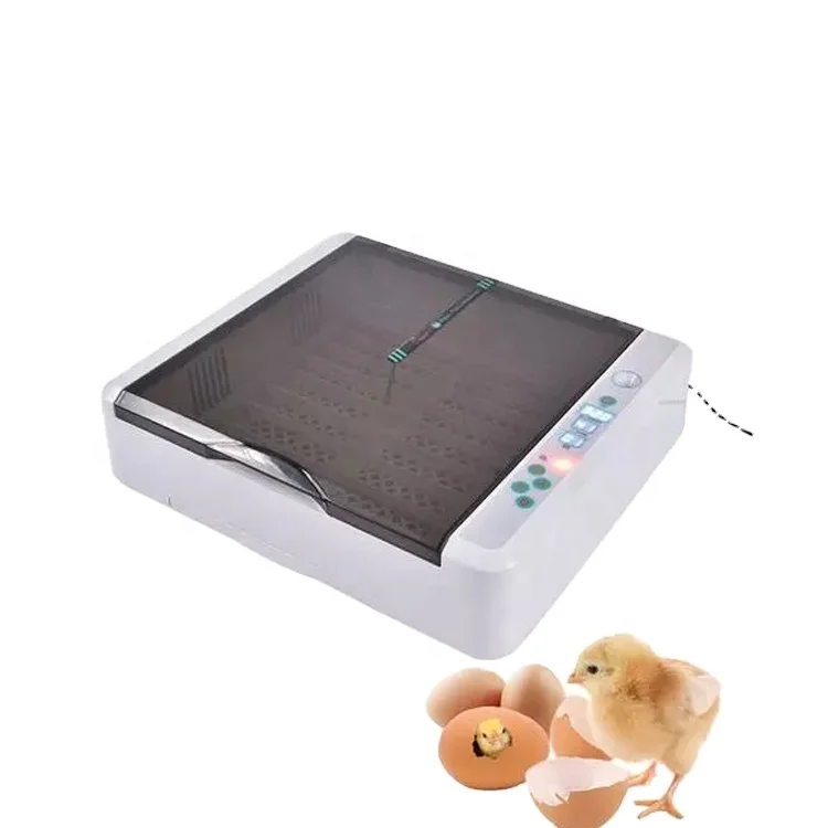 HHD бренд полностью автоматическая плодородных попугай курица утка перепелиные яйца птицы куриных яиц инкубаторы Брудер/инкубаторные машины YZ-36
