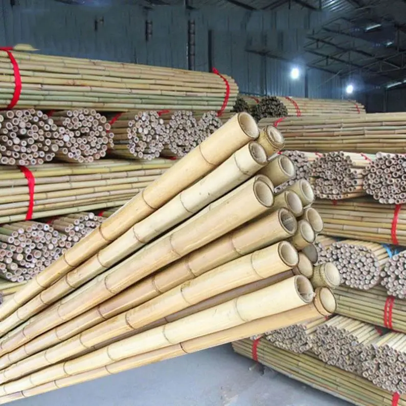 Decorative thick long natural bamboo poles agriculture for construction