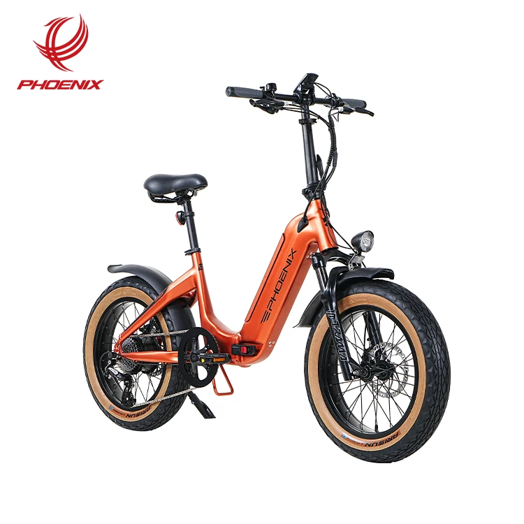 Phoenix Manufacturer Direct Sales Of Electric Hybrid Bicycles Fat Tire Bicycles And Folding Electric Bicycles
