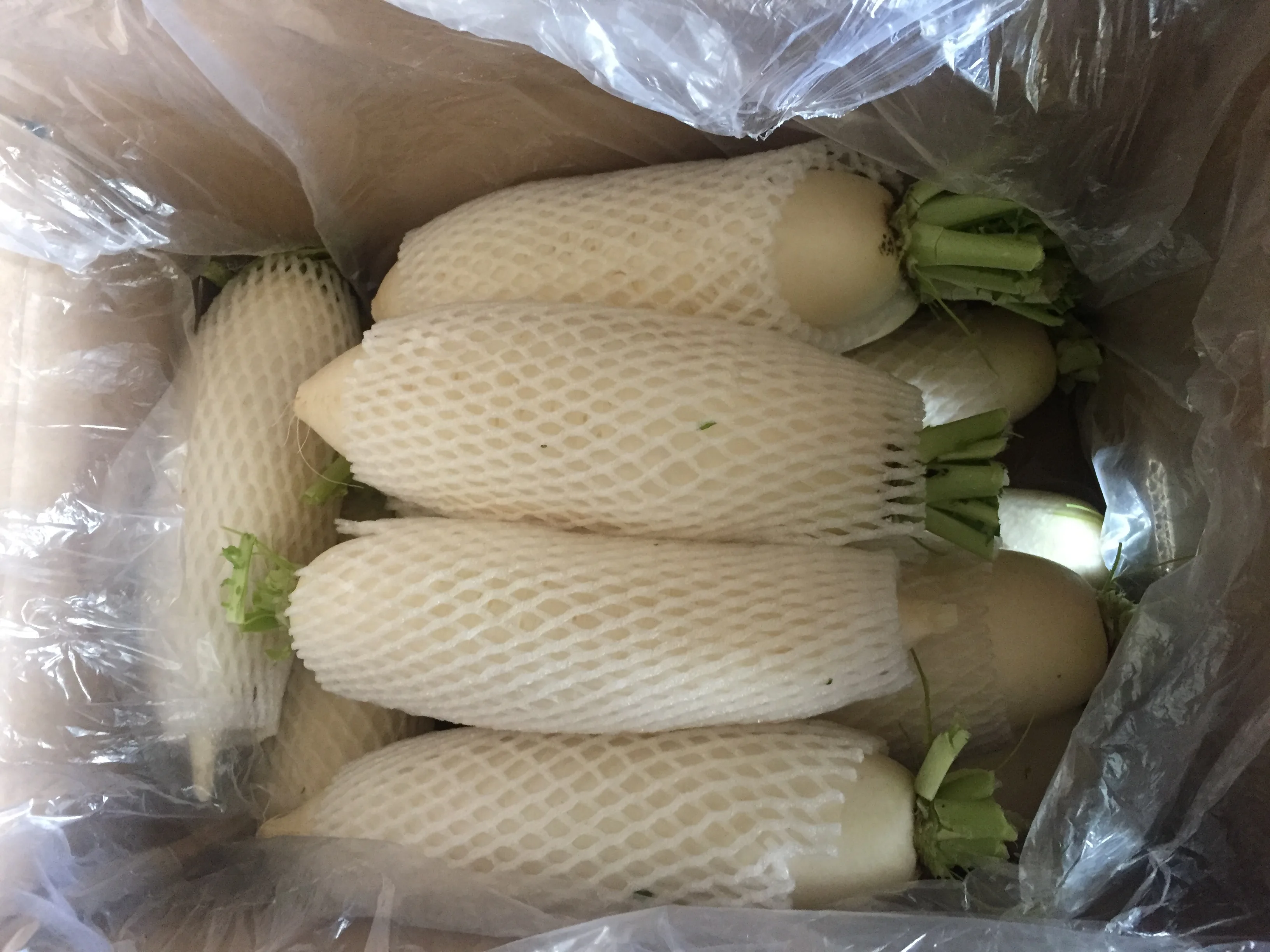 2024 new crop Chinese factory supply Fresh organic vegetables Radish White Green Daikon fruit radish and seeds prices from China