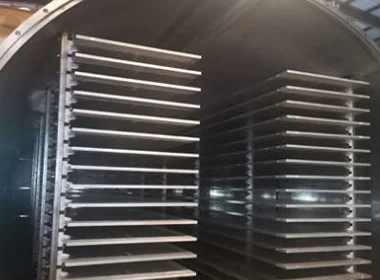 100 sq.m Commercial Vacuum Freeze-Drying Machine Line Pet Food Strawberry Tea