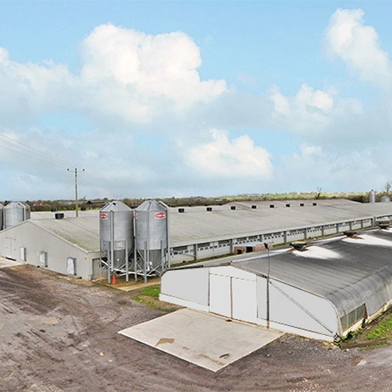 Automatic poultry farm shed prefab chicken farm building house