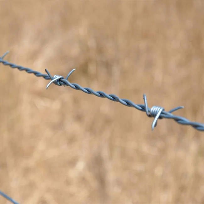 Рулон колючей проволоки 1000 метров своего рода колючая проволока забор цена за