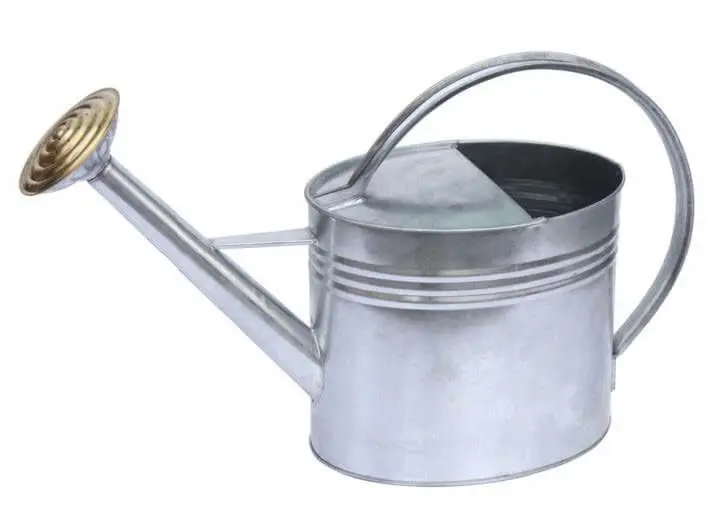 Oval Design Handmade Watering Can Wholesale Exporter Metal Garden Decoration Watering Can