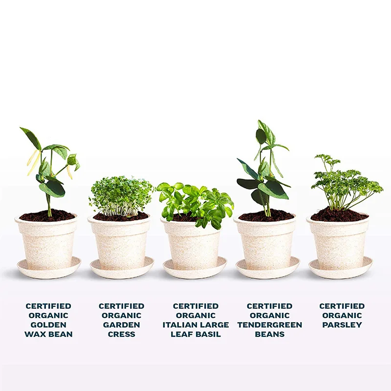 Custom Package Gift Box Home Garden Planter Bean Herbs Complete Starter Growing Kit