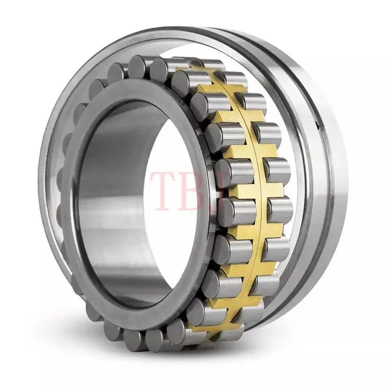BEARING CPM 2168 Cylindrical roller bearings CPM2168.RNN CPM2168