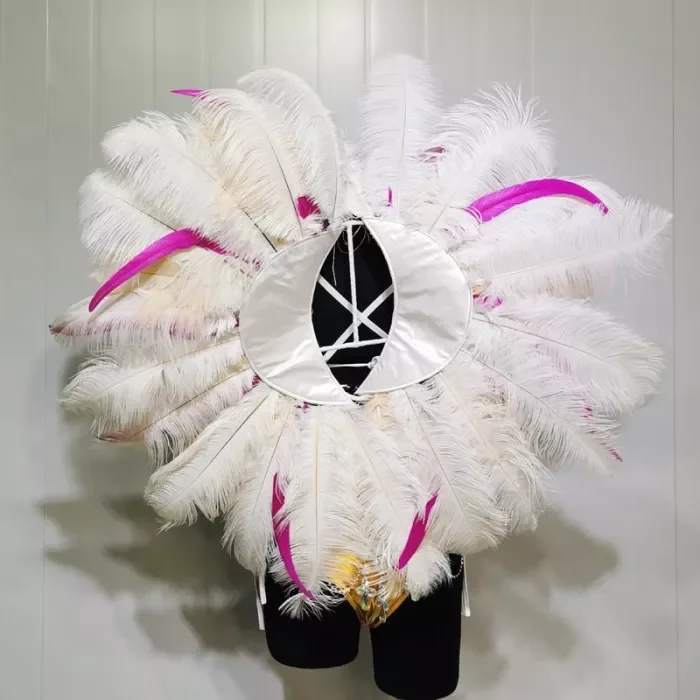 Top Quality Handmade Samba Rio Carnival Wire Bra+Panty+Feather Headdress With Stone Sexy Belly Dancing Costume CF002
