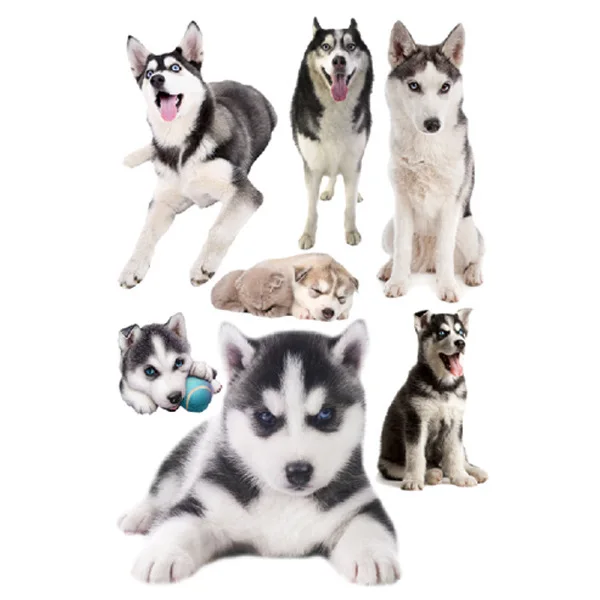 Creative simulation kitten dog skirting cartoon wall sticker bedroom background wall self-adhesive waterproof wallpaper