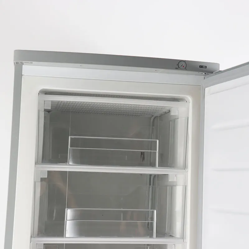 Manufacturer Promotion Inox Color Household Hotel 220/110V Unique Dc Refrigerator
