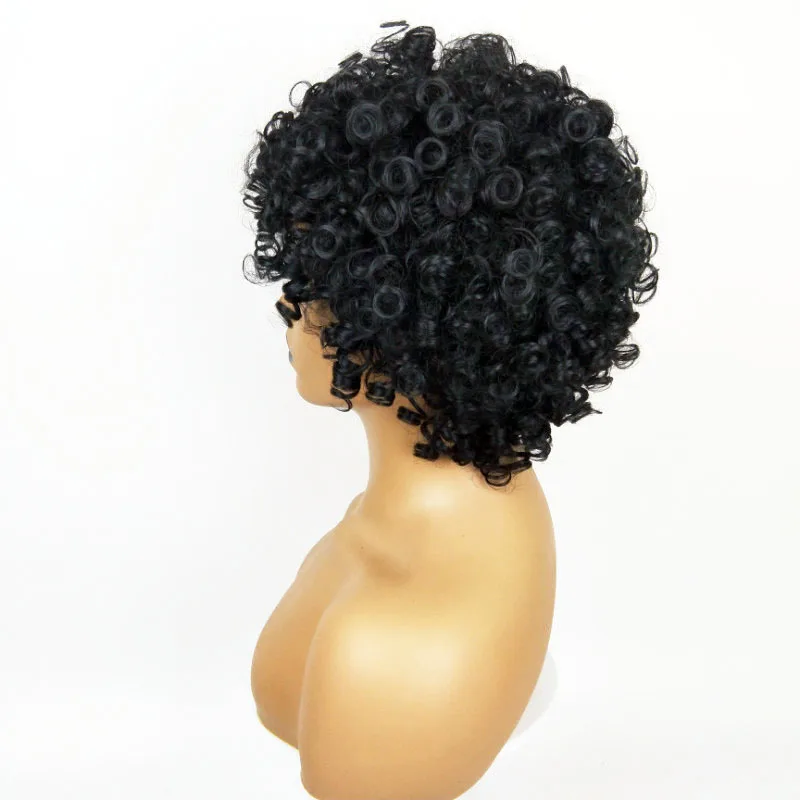 Wig Short Loose Curl Bob Style Brazilian Remy Women Wig Curly Hair