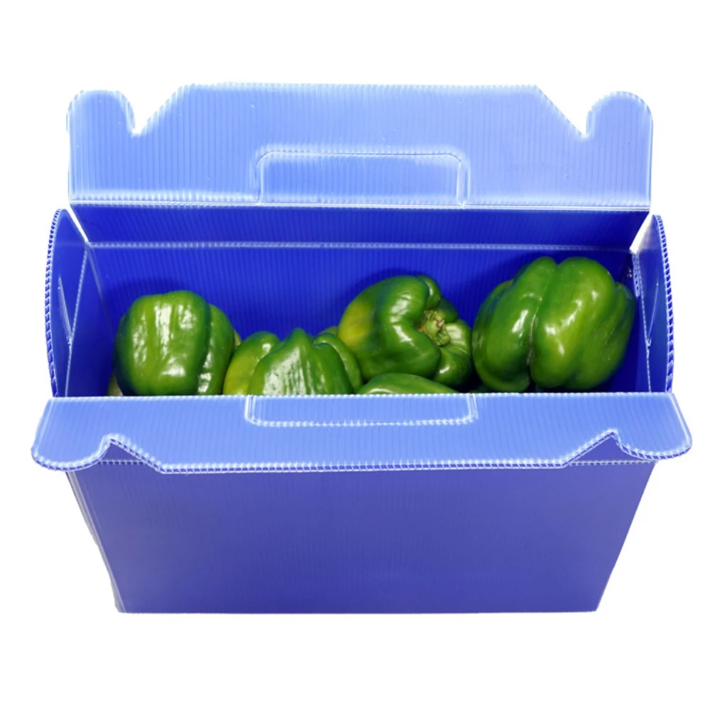 Vegetable fruit storage hollow polypropylene pp sheets plastic food storage plastic boxes