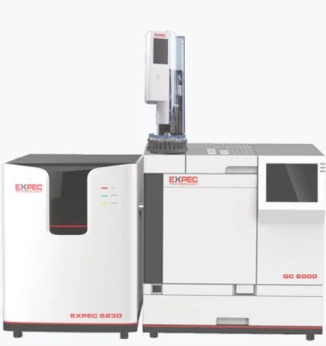 Gas Chromatograph System