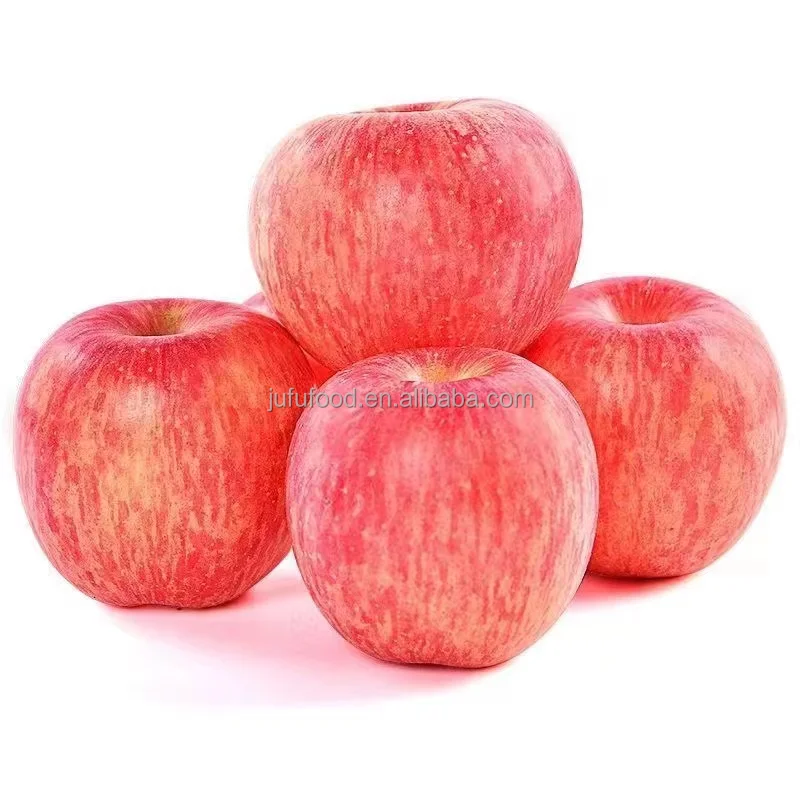 New Fresh Fruit Apple juicy fruit  Fresh Red Fuji Apple Wholesale From Chinese Supplier
