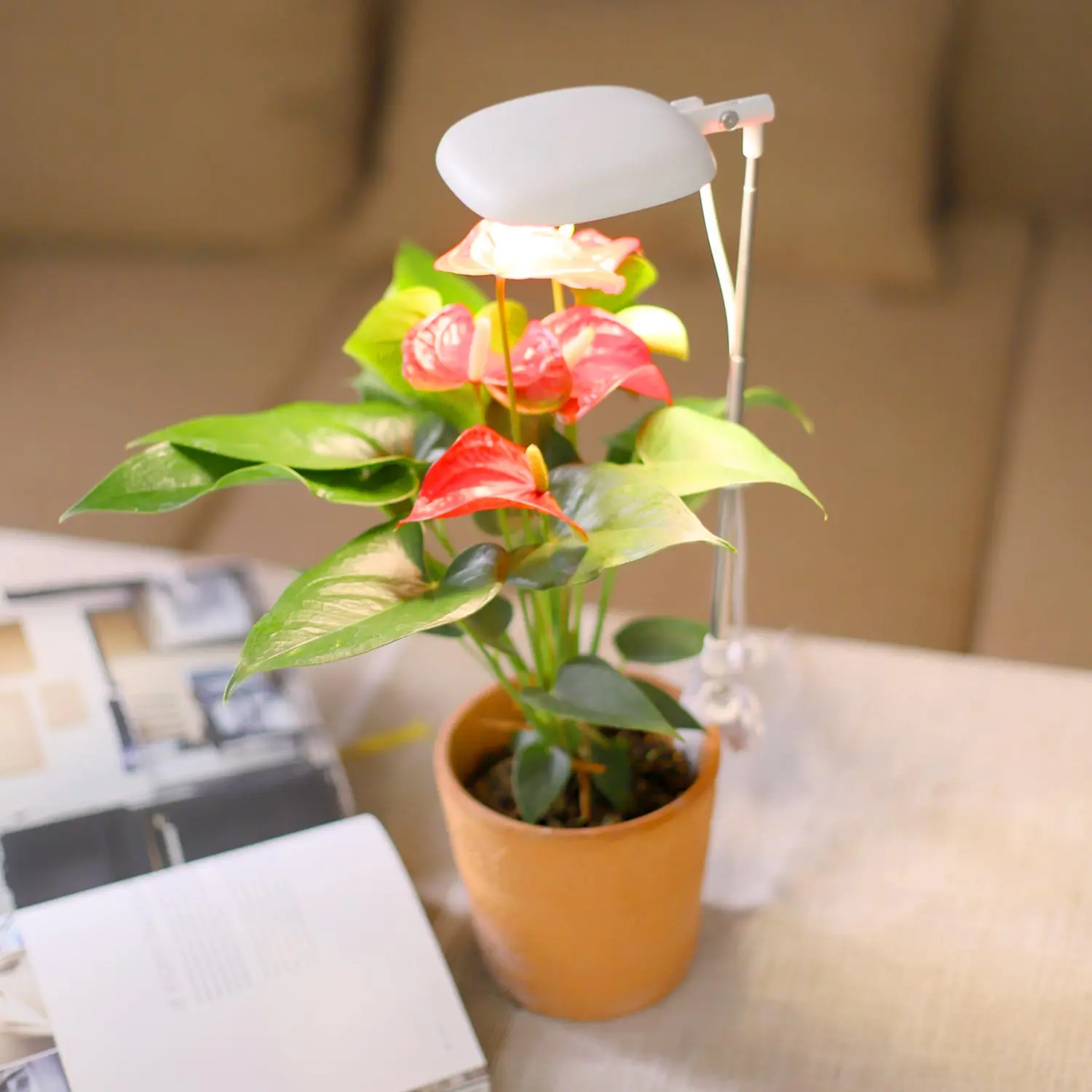 herb garden plant grow lamp smart indoor plant garden automatic timer indoor herb garden growing kit flower pots and planters