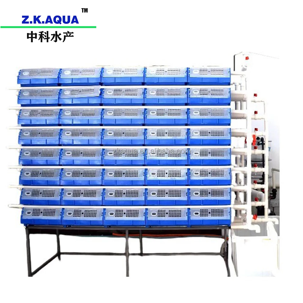 Mud Crab house Philippines Vertical Farming Cost Crab Farm System crab boxes ras system