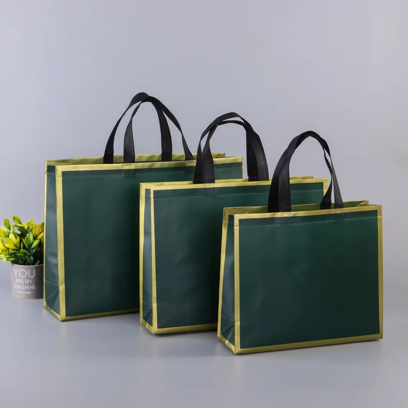 Direct Sale Fashion Environmental Friendly Customize Eco-Friendly Non - Woven Fabric Foldable Bags