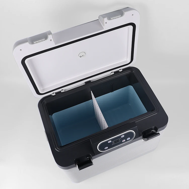 Wholesale cheap price refrigerator outdoor car refrigerator 15L